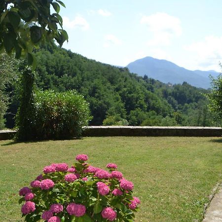 Вилла La Limonaia Di Casagrande Барга Экстерьер фото